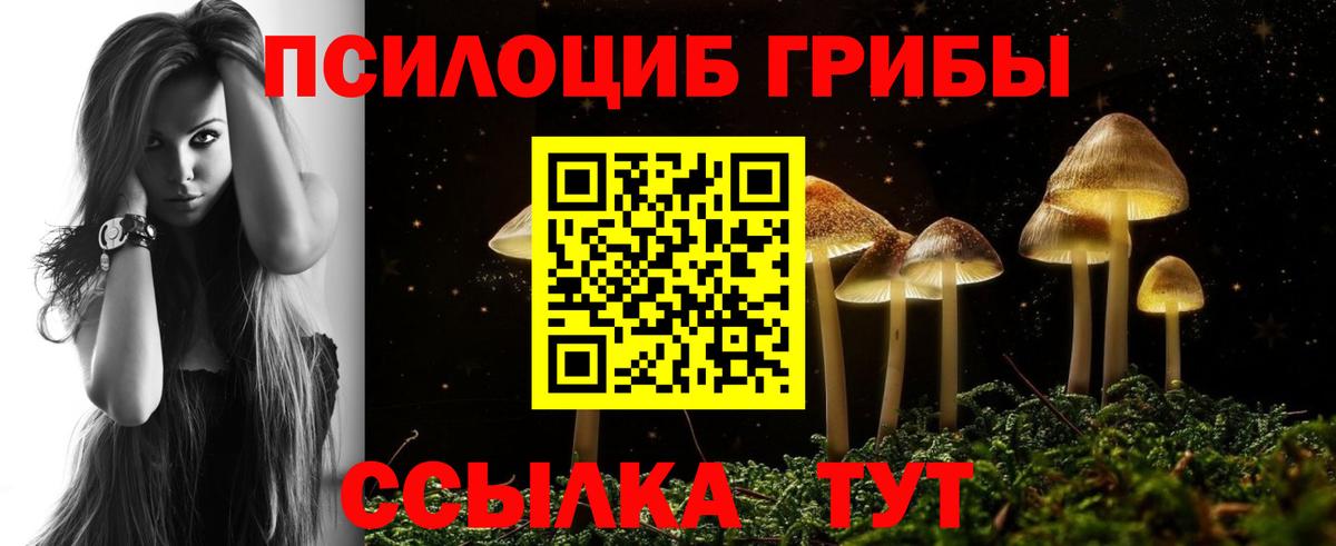 Галлюциногенные грибы ЛСД  Вход с VPN  Елец  Галлюциногенные грибы Psilocybe 
